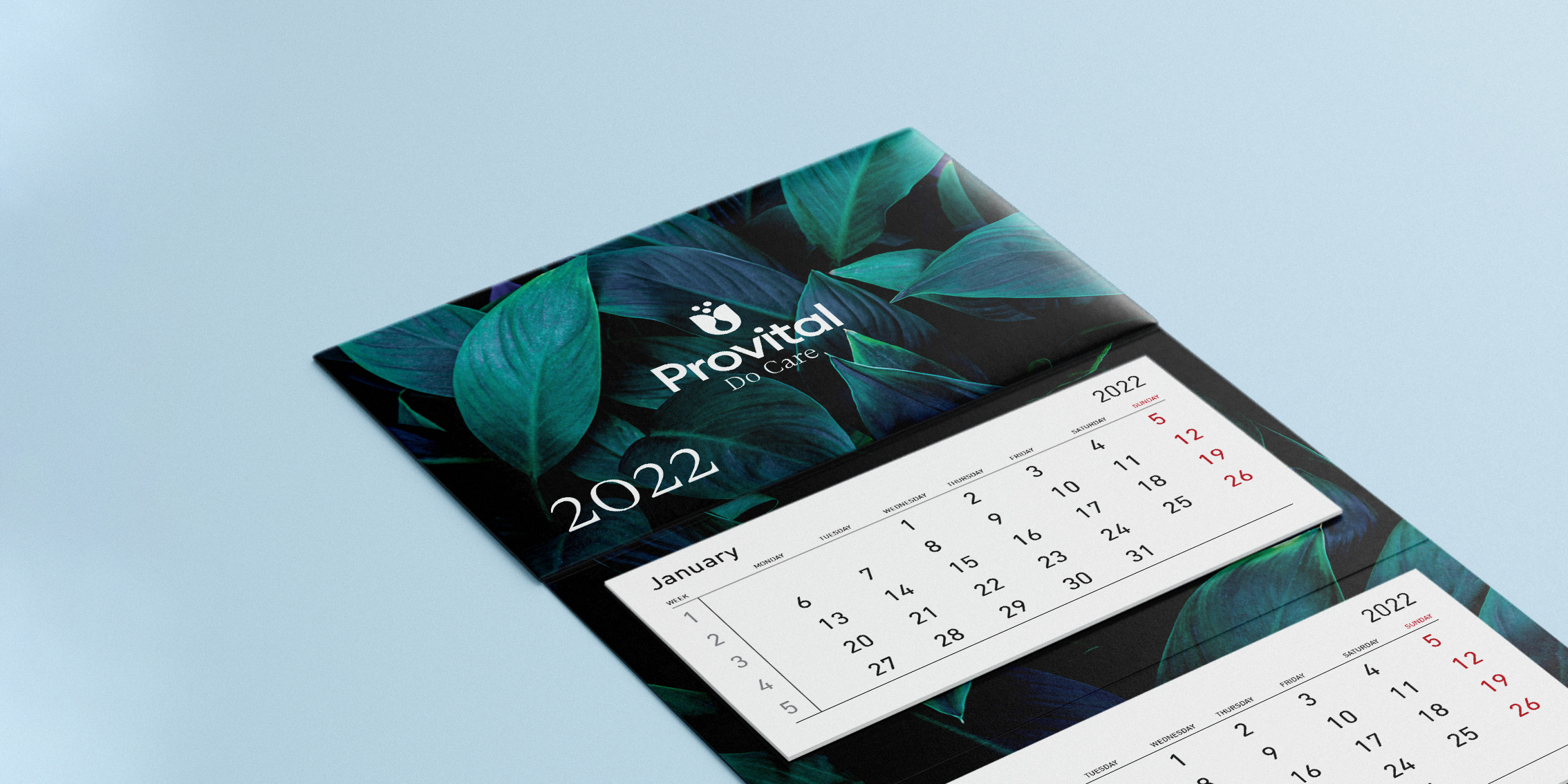 Provital - Kalendarze_04